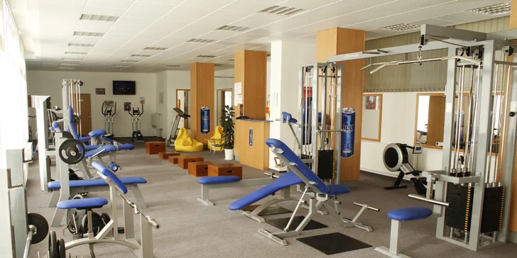 Pobyt v podhorí Orlických hôr: polpenzia, privátne wellness a thajská masáž