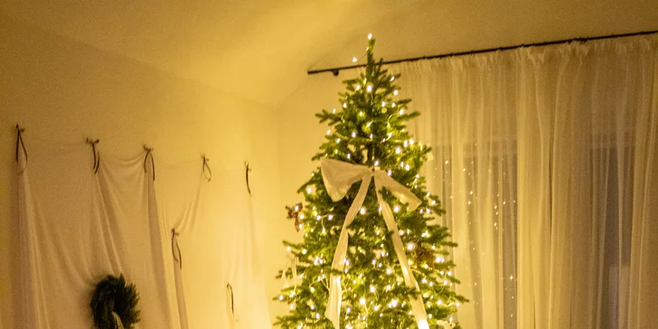 Kreatívny workshop maľovania akrylom s občerstvením a neobmedzeným proseccom alebo vareným vínom