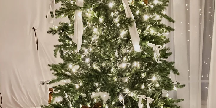 Kreatívny workshop maľovania akrylom s občerstvením a neobmedzeným proseccom alebo vareným vínom