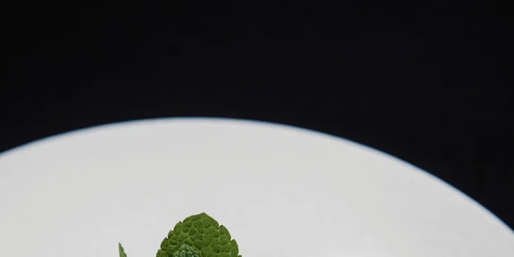 Rezort pri pláži v Kolobrehu: raňajky alebo polpenzia, neobmedzený vstup do wellness aj detský klub