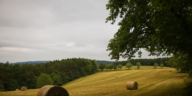 Pobyt v hoteli pri hrade Buchlov s raňajkami aj večerami a wellness alebo masážou