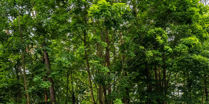 Nové apartmány pri Balte 15 min. od pláže: raňajky, bazény, vírivky a sauna