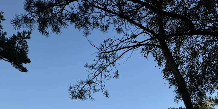 Navštívte slávne piesočné duny v Łebe: apartmány pri pláži, raňajky alebo polpenzia