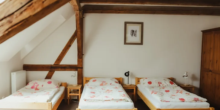 Športovo-relaxačné centrum pri Františkových Lázňach: pobyt s raňajkami alebo polpenziou a zľava na šport