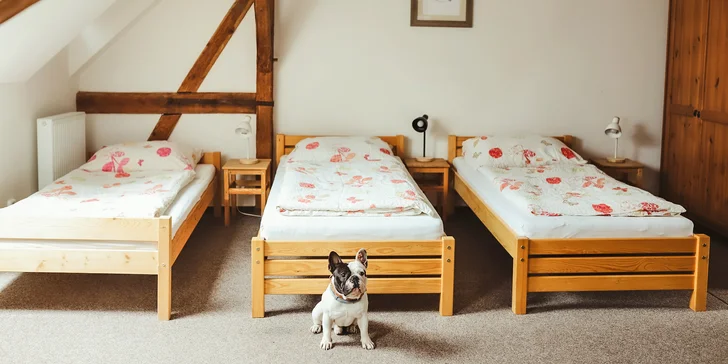 Športovo-relaxačné centrum pri Františkových Lázňach: pobyt s raňajkami alebo polpenziou a zľava na šport