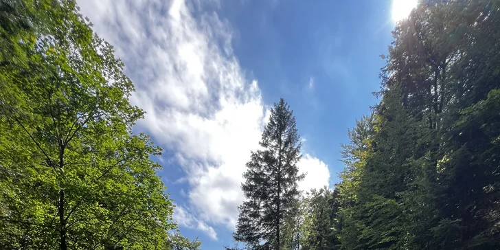 Martinské hole alebo Kyseľ: Ferrata s certifikovaným inštruktorom