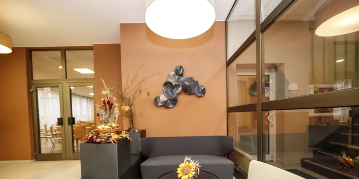 Pohodový pobyt v srdci kúpeľného mesta Poděbrady s polpenziou a vínom