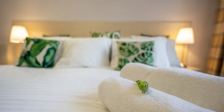 Pohodový pobyt v srdci kúpeľného mesta Poděbrady s polpenziou a vínom