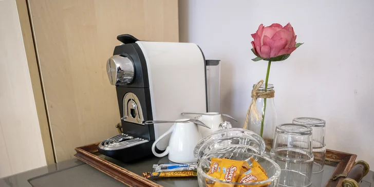 Pohodový pobyt v srdci kúpeľného mesta Poděbrady s polpenziou a vínom