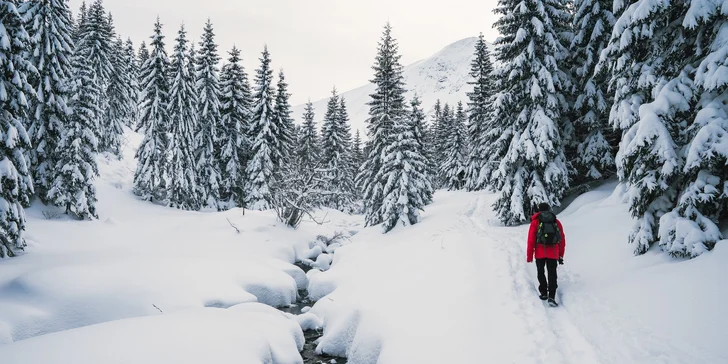 Vychýrený Hotel Strachanovka*** v Jánskej doline s wellness, deťmi zdarma a množstvom aktivít