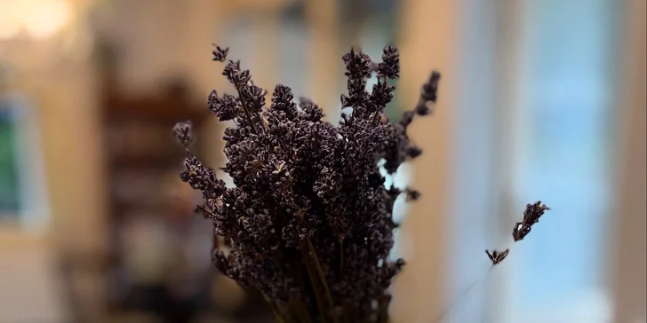 Romantické vidiecke apartmány na severe Čiech: možnosť exkurzie do sklárne aj posedenia v secesnej kaviarni