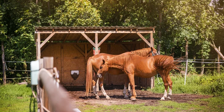 Pobyt v Klášterci nad Ohří s raňajkami, košom dobrôt aj jazdou na koni