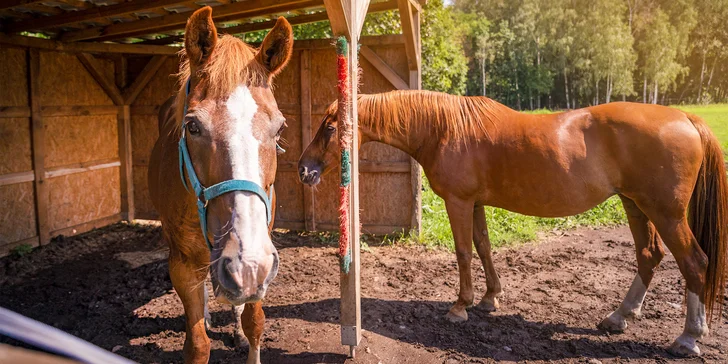 Pobyt v Klášterci nad Ohří s raňajkami, košom dobrôt aj jazdou na koni