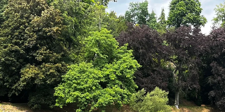 Pobyt v Klášterci nad Ohří s raňajkami, košom dobrôt aj jazdou na koni