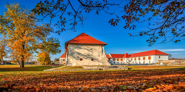 Nezabudnuteľný pobyt s polpenziou v rozprávkovom Kaštieli Františka II. Rákócziho na úpätí Tokaja
