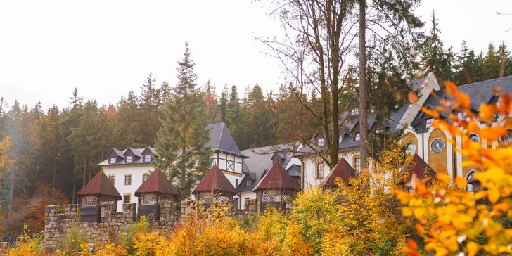 Pobyt na zámku pri Karlových Varoch: neobmedzený wellness, polpenzia, masáž aj procedúry