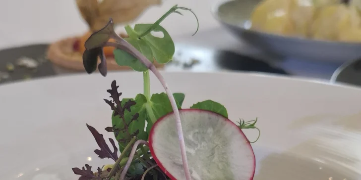 Večera a bowling pre dvoch v Kaštieli Mojmírovce ****