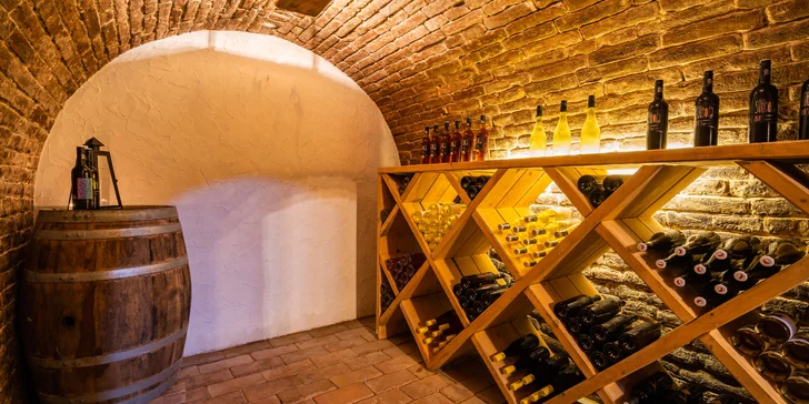 Veľké Bílovice: prenájom vinnej pivnice aj ubytovanie vrátane občerstvenia