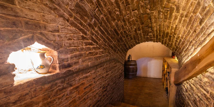 Veľké Bílovice: prenájom vinnej pivnice aj ubytovanie vrátane občerstvenia