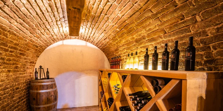 Veľké Bílovice: prenájom vinnej pivnice aj ubytovanie vrátane občerstvenia