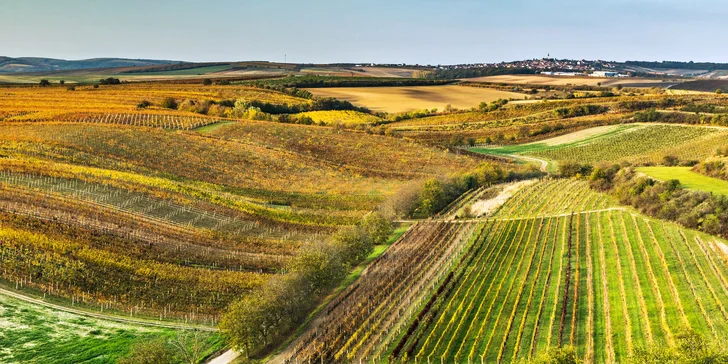 Pobyt vo Veľkých Bíloviciach: krásne ubytovanie v pivnici až pre 10 osôb aj s občerstvením