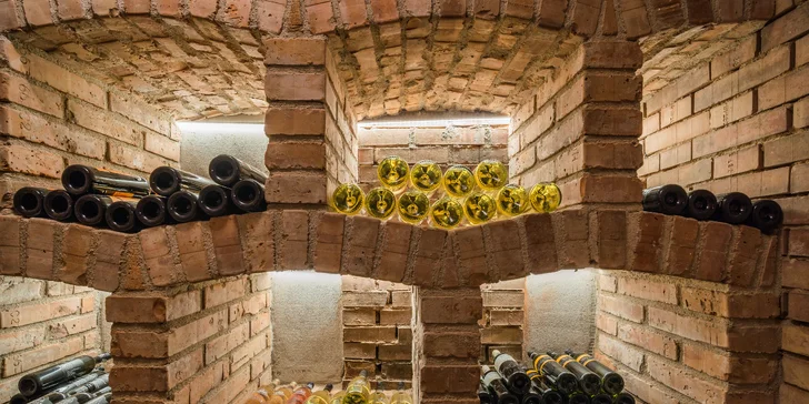 Pobyt vo Veľkých Bíloviciach: krásne ubytovanie v pivnici až pre 10 osôb aj s občerstvením