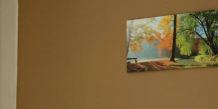 Pobyt v srdci Poděbrad: raňajky a fľaša vína, varianta vrátane wellness a masáže