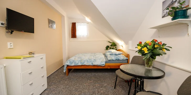 Pohoda aj výlety: pobyt v malom rodinnom penzióne, 4 km od Třeboně