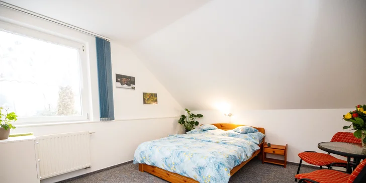 Pohoda aj výlety: pobyt v malom rodinnom penzióne, 4 km od Třeboně