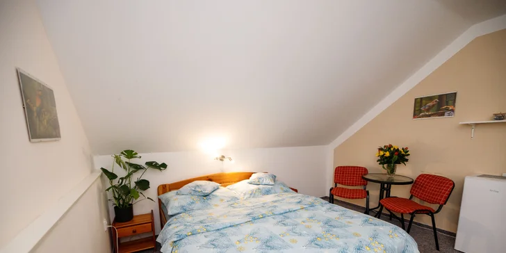 Pohoda aj výlety: pobyt v malom rodinnom penzióne, 4 km od Třeboně