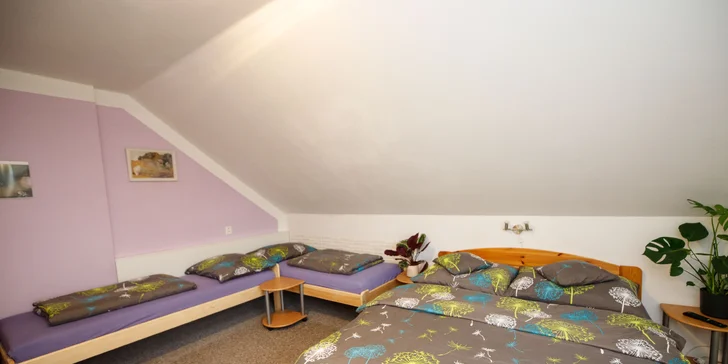 Pohoda aj výlety: pobyt v malom rodinnom penzióne, 4 km od Třeboně