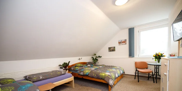 Pohoda aj výlety: pobyt v malom rodinnom penzióne, 4 km od Třeboně