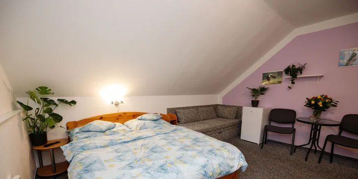 Pohoda aj výlety: pobyt v malom rodinnom penzióne, 4 km od Třeboně