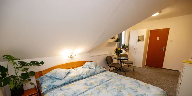 Pohoda aj výlety: pobyt v malom rodinnom penzióne, 4 km od Třeboně