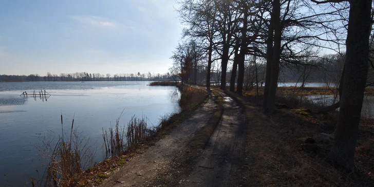 Pohoda aj výlety: pobyt v malom rodinnom penzióne, 4 km od Třeboně