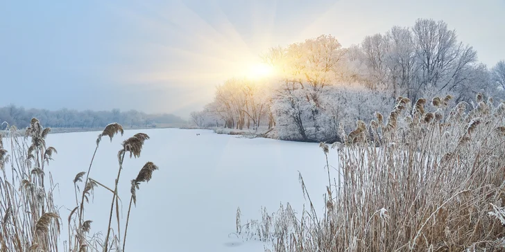 Pohoda aj výlety: pobyt v malom rodinnom penzióne, 4 km od Třeboně
