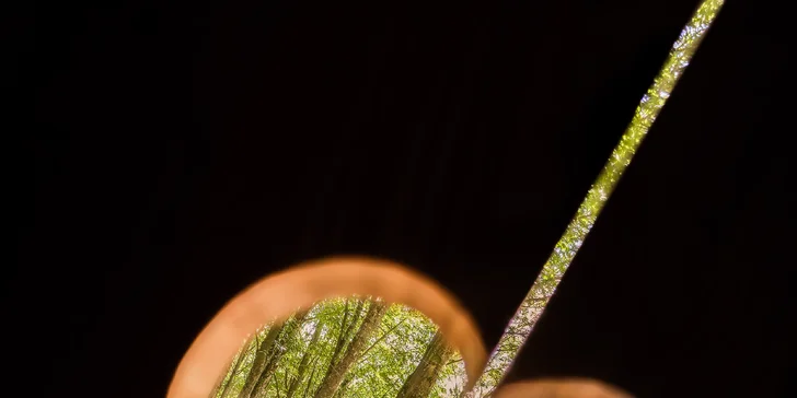 Zážitkové nocovanie vo vybavenom teepee: sprcha s teplou vodou, solárna elektrina aj kúpací sud