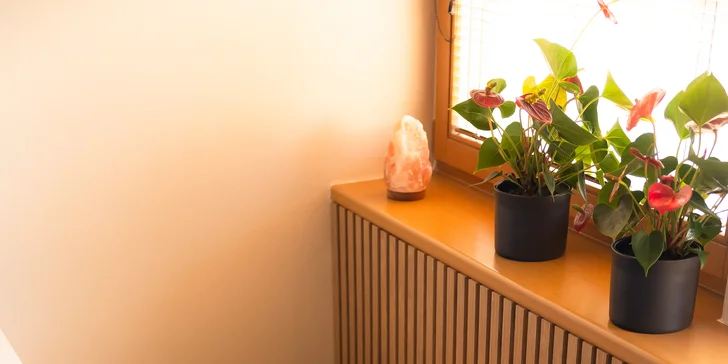 Masáž na lôžku CERAGEM alebo terapia infračerveným svetlom MITO Light