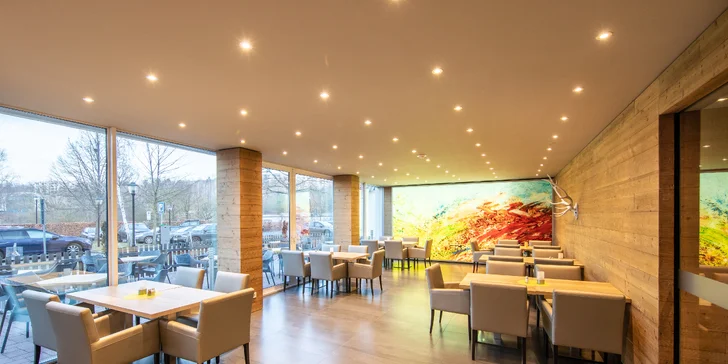 Wellness pobyt s all inclusive v Durínsku v meste Jena: bazén aj sauny