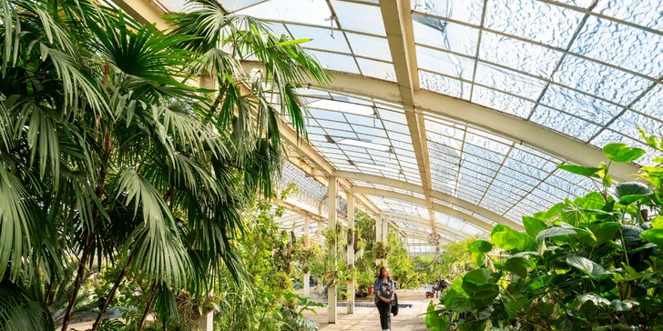 Zájazd na čarovnú výstavu orchideí vo Viedni aj výlet do obľúbenej čokoládovne