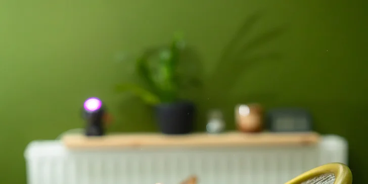 Japonský Head Spa rituál pre jednotlivcov aj pre páry