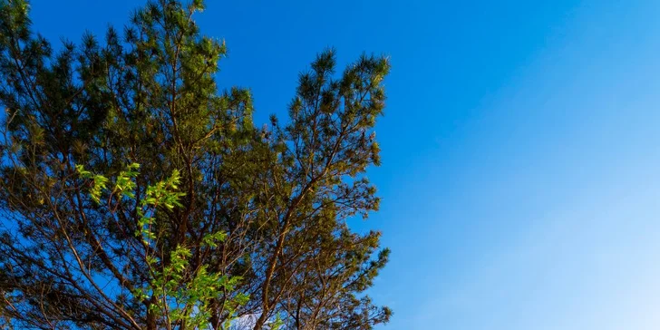 Dovolenka pri Baltskom mori: hotel pri pláži a lesoch národného parku, wellness a polpenzia