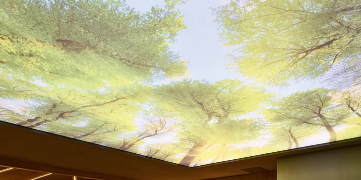 Pobyt v Pivnom apartmáne v centre Znojma: fínska sauna, pivný kúpeľ a 4 litre piva