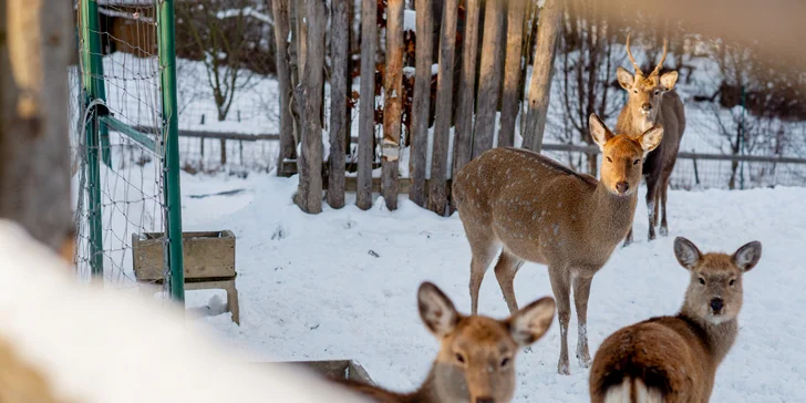 Dovolenka v rozprávkovom Hobitíne pod Orlickými horami pre pár aj rodinu