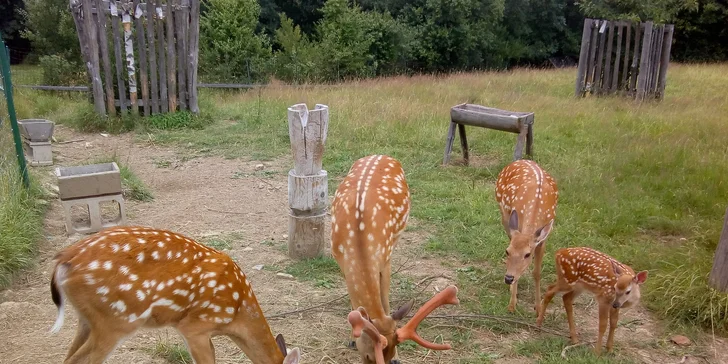 Dovolenka v rozprávkovom Hobitíne pod Orlickými horami pre pár aj rodinu