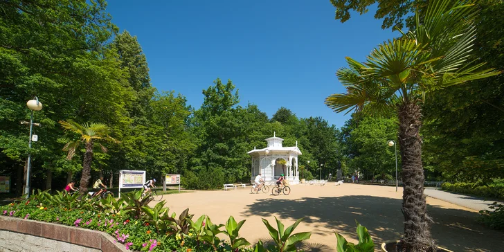 Pobyt vo Františkových Lázňach: bazén a sauna, procedúry alebo masáž a polpenzia