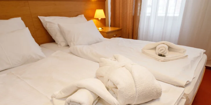 Pobyt vo Františkových Lázňach: bazén a sauna, procedúry alebo masáž a polpenzia