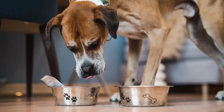 Historické centrum Gdaňsku: ubytovanie v modernom hoteli aj pamiatky