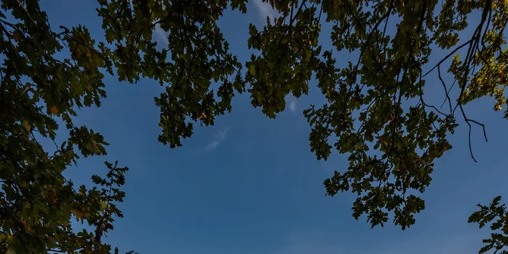 Príjemný pobyt na kaštieli neďaleko Valtíc a Lednice s raňajkami a privátnym wellness