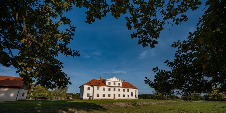 Príjemný pobyt na kaštieli neďaleko Valtíc a Lednice s raňajkami a privátnym wellness